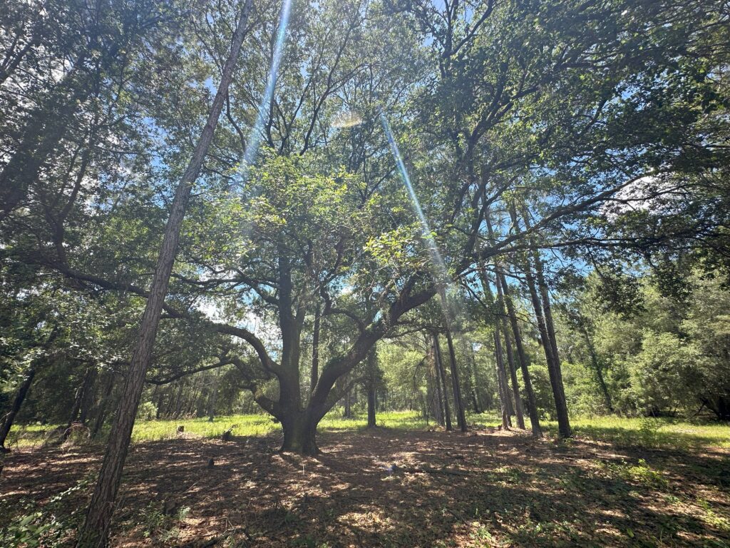 McBride Land & Development Co