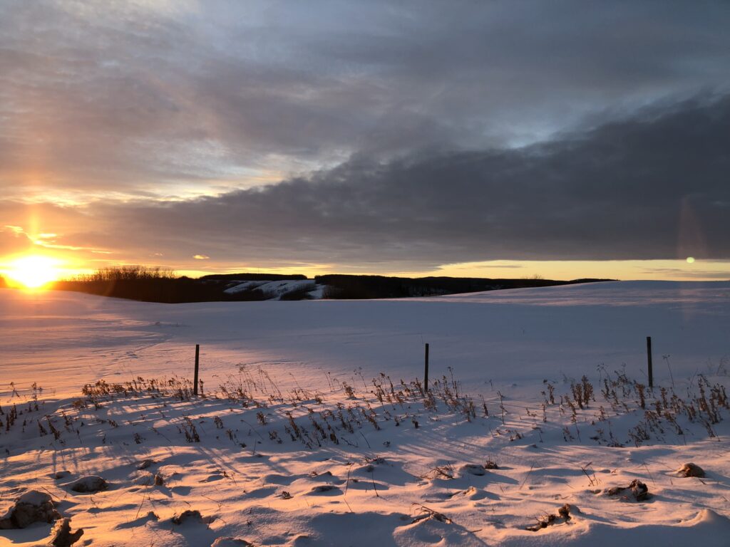 Saddle Lake Cree Nation Community Consultation and Capacity Building