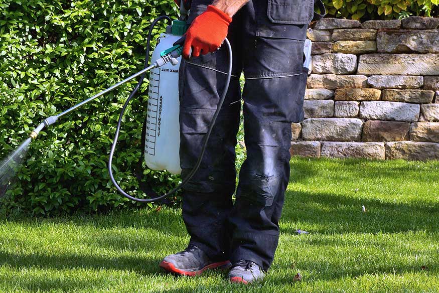 Missouri Pest Control During COVID19 McCarthy Termite & Pest