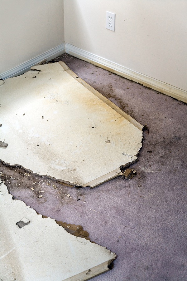 What To Do After Water Damage To Carpets