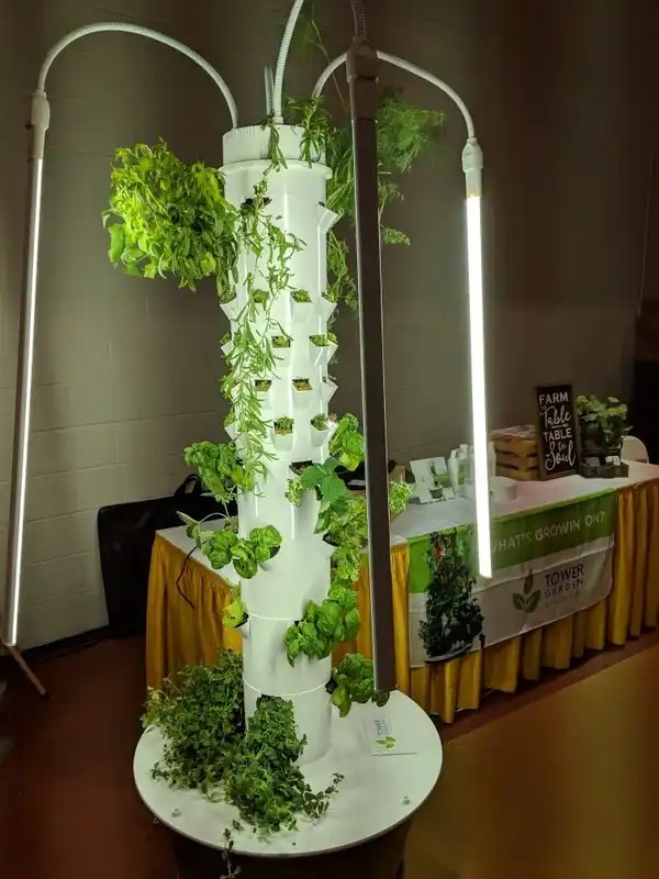 Campaign Health & Prosperity McCauley Foundation