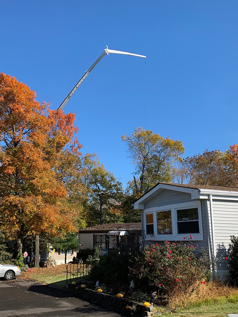 Gallery McCauley Tree & Landscaping