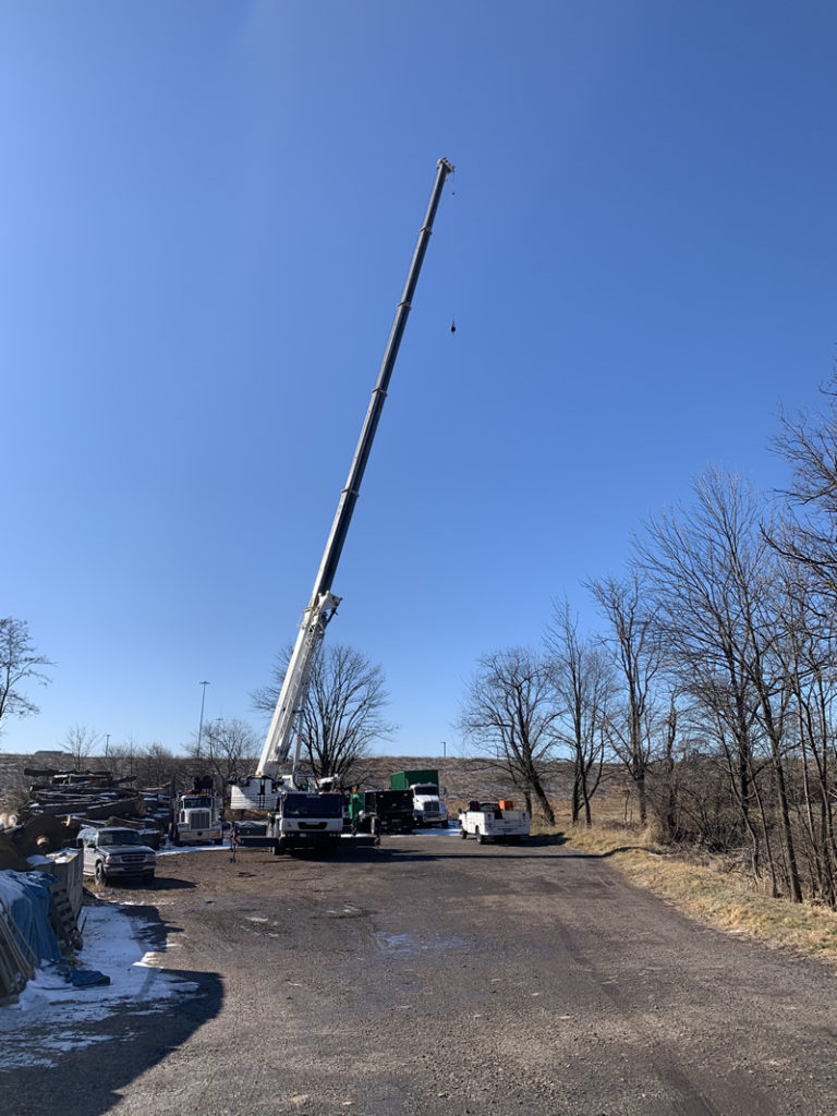 Gallery McCauley Tree & Landscaping