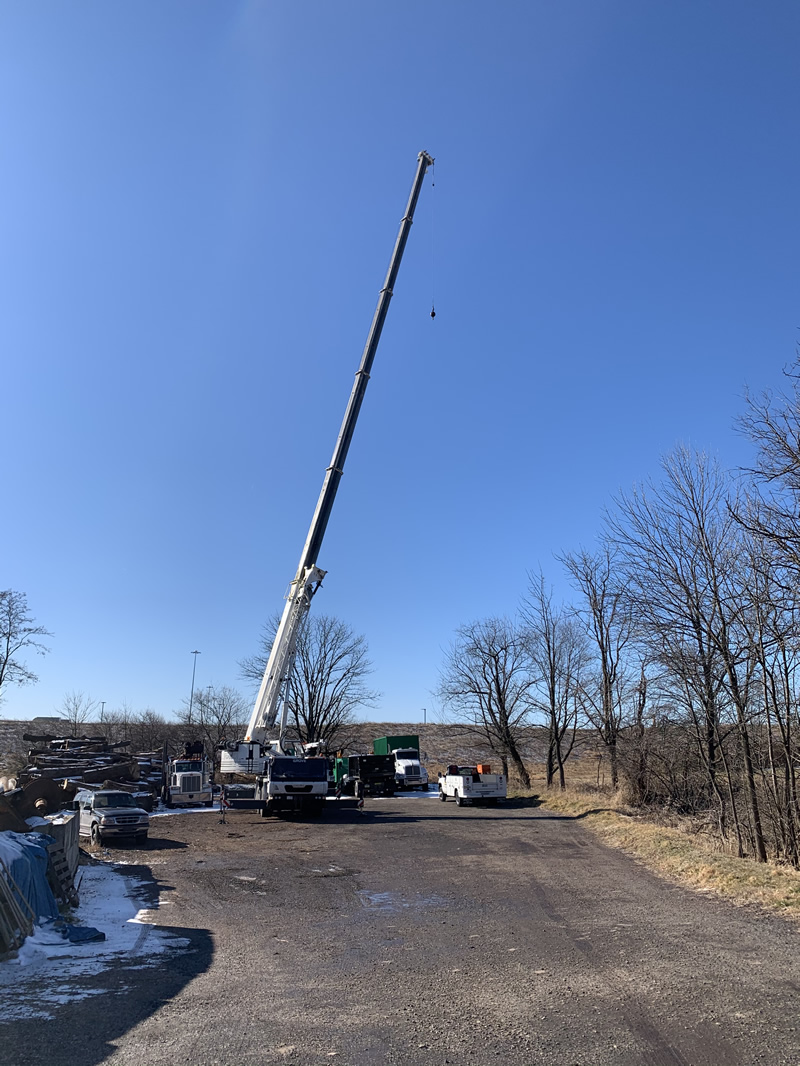 Gallery McCauley Tree & Landscaping