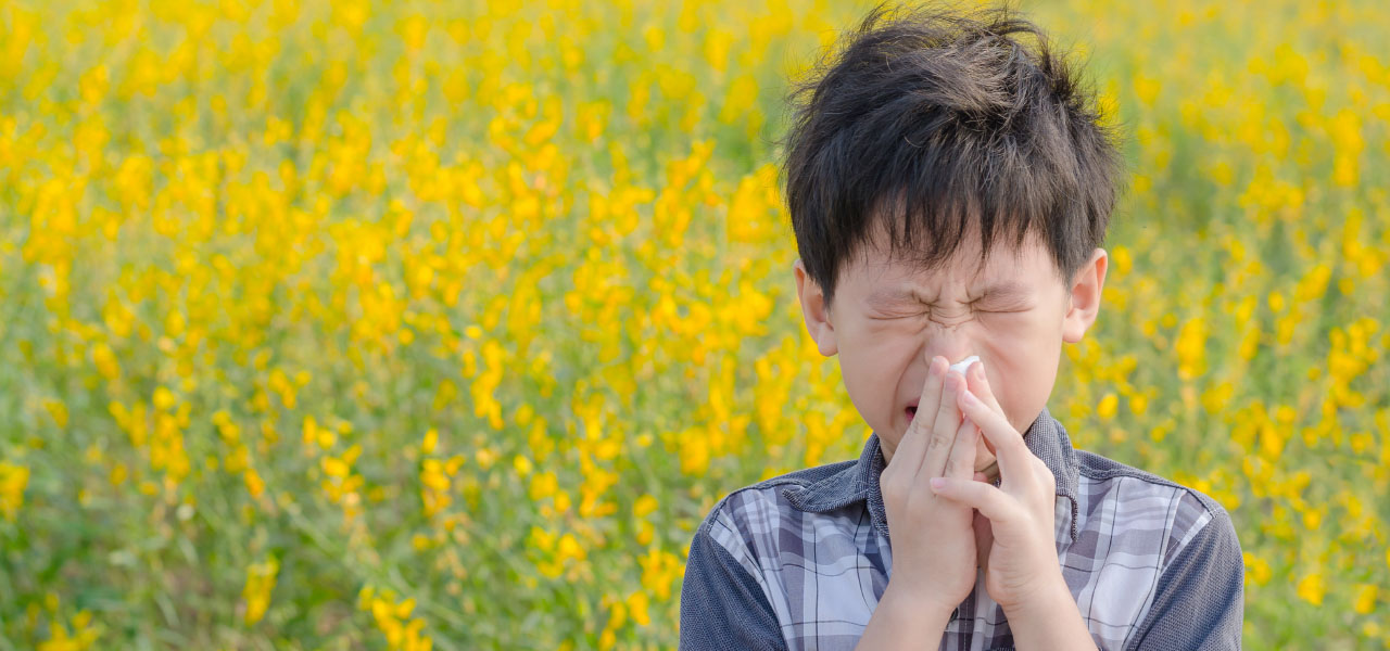 Ear, Nose, & Throat Ear, Nose, & Throat