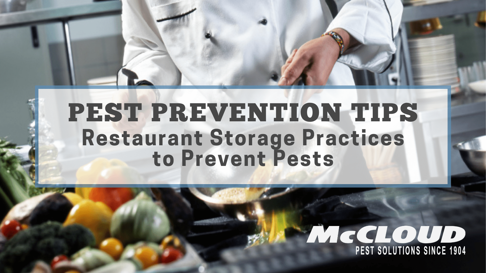 Restaurant Storage Practices to Prevent Pests McCloud Pest Solutions