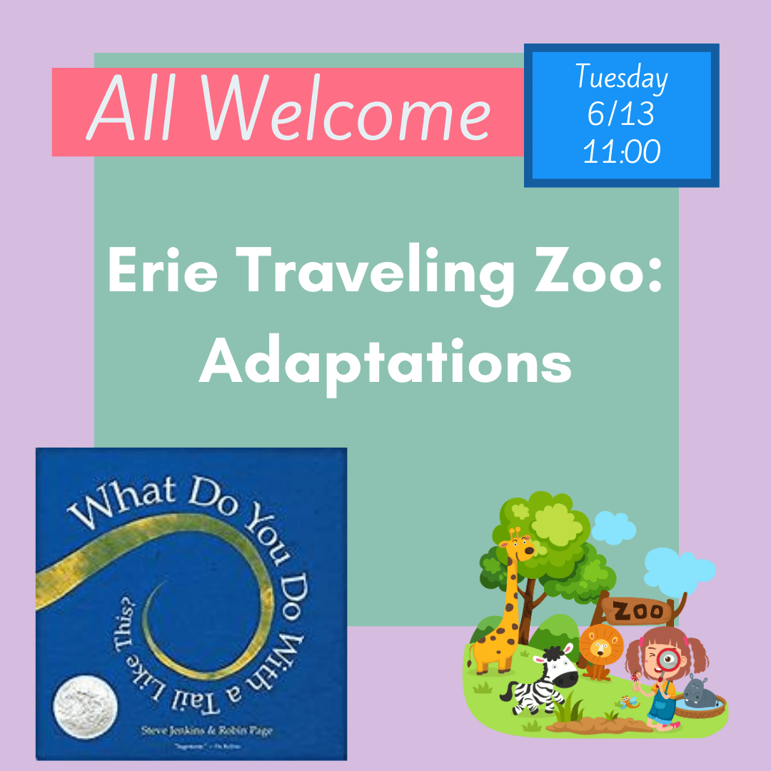 McCord Memorial Library Hours Mon Thurs 9307 CLOSED FRIDAYS Sat