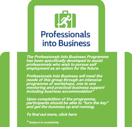 Professionals into Business McCormack Associates