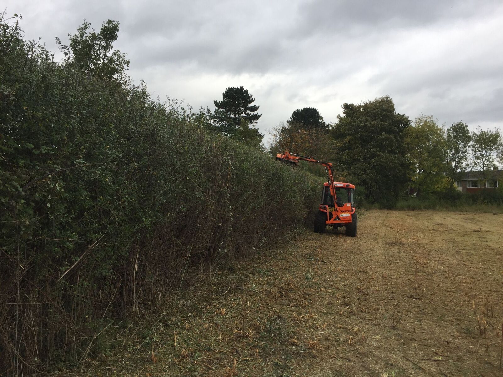 How To Maintain Your Hedges & Boundaries MC Country Services