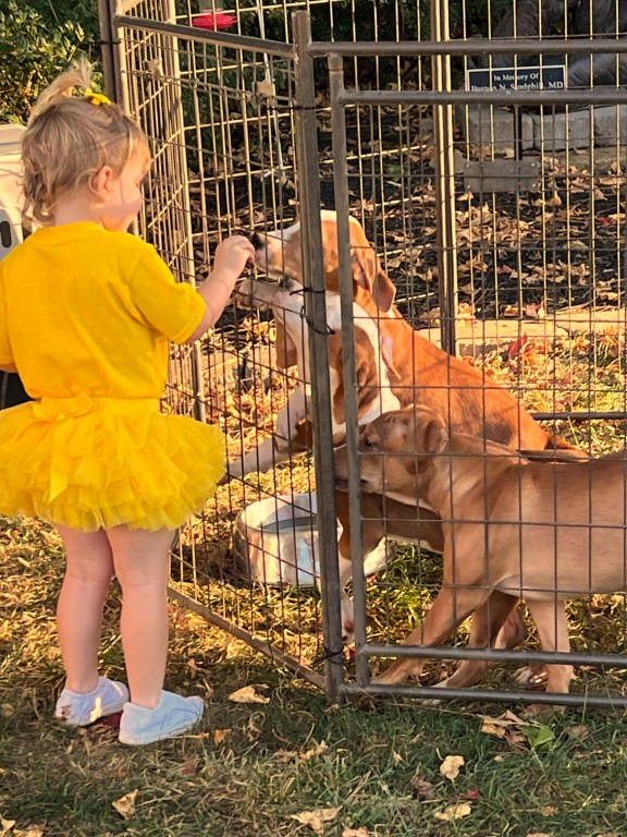 Pet Gazette Fall 2023 Newsletter McCracken County Humane Society