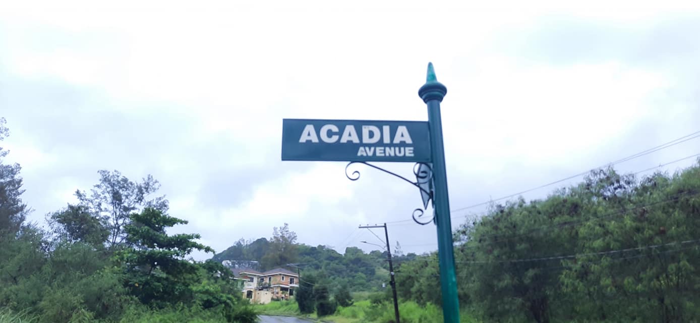 Alta Vista Acadia Avenue Long Time Gone