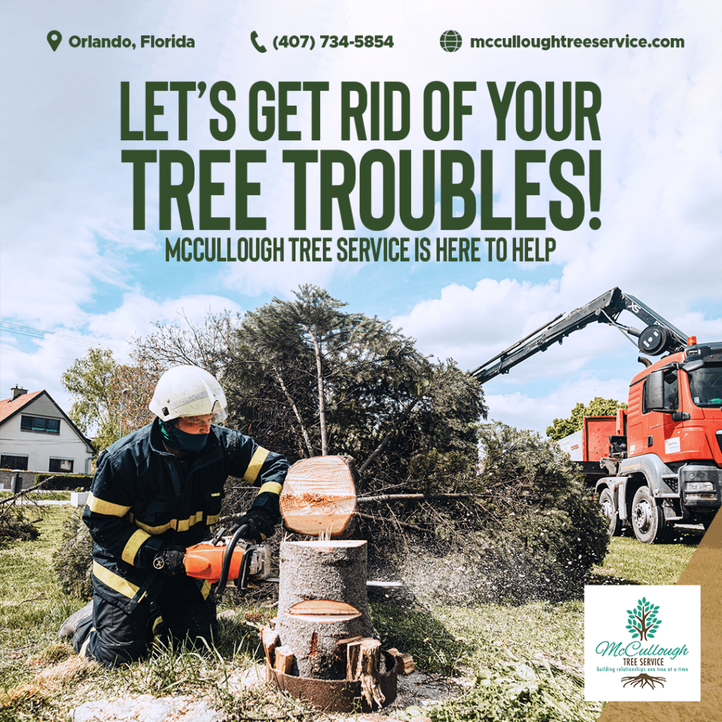 Tree Service Financing for Tree Removal & Trimming