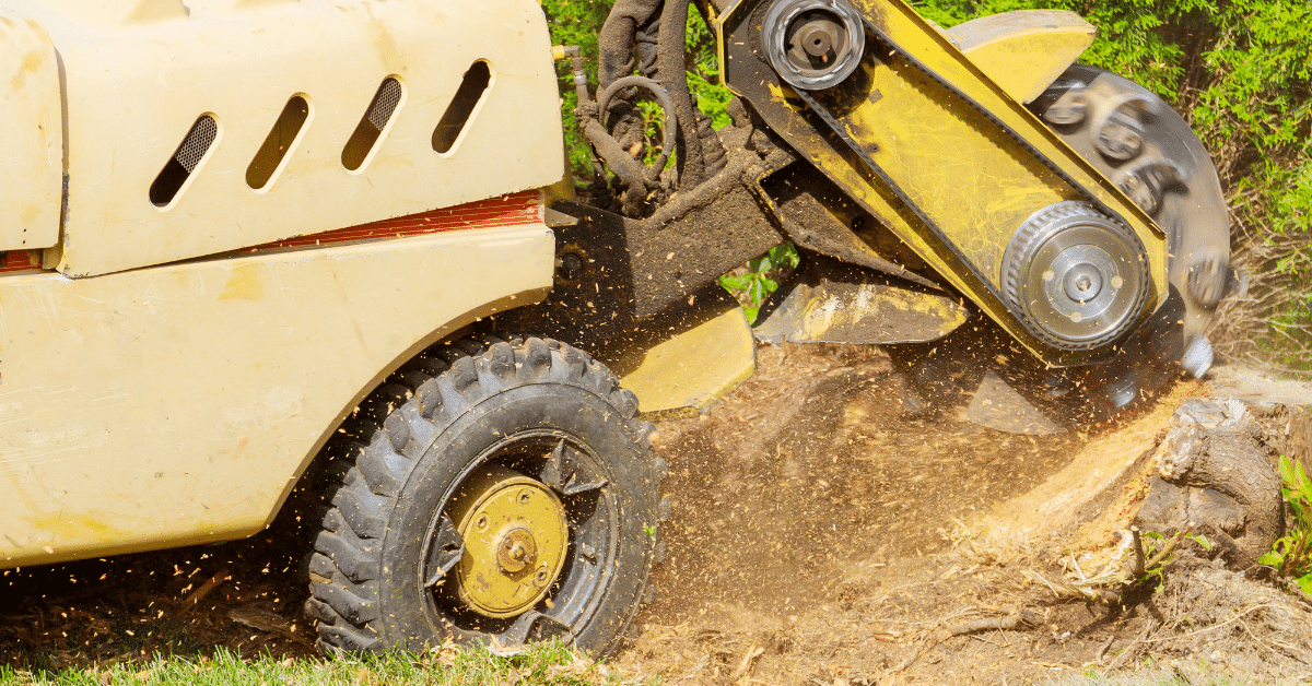 Affordable Stump Grinding & Tree Stump Removal McCullough Tree Service