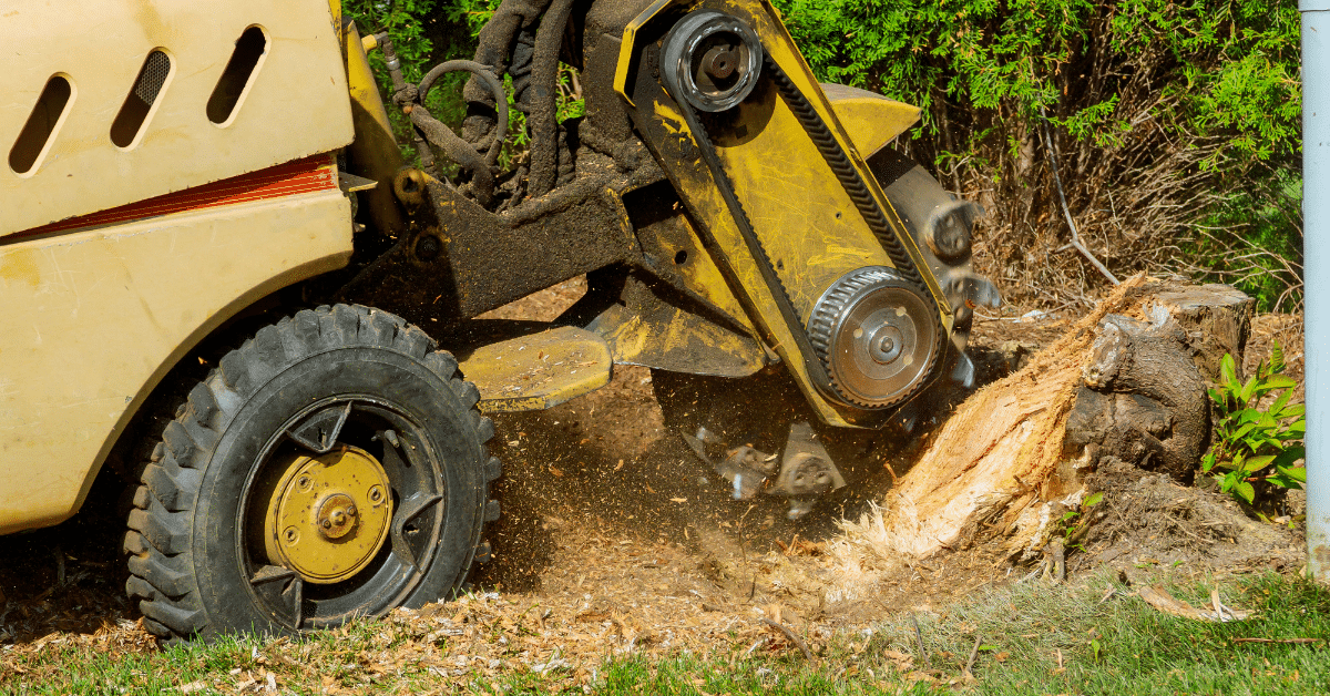 Affordable Stump Grinding & Tree Stump Removal McCullough Tree Service