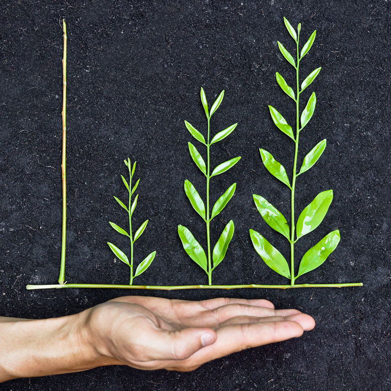 McCartney Wealth Management Financial Planning