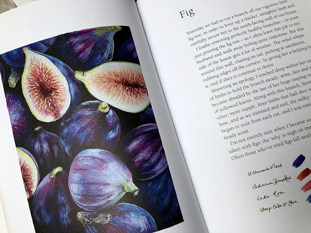 SERIES 1 EPISODE 2 Walking the South Devon coastline with artist Anna