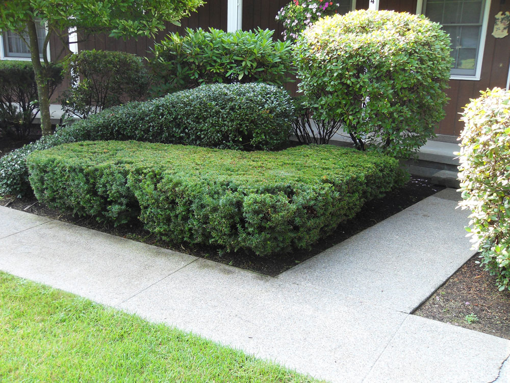 Landscaping McDougall Landscape