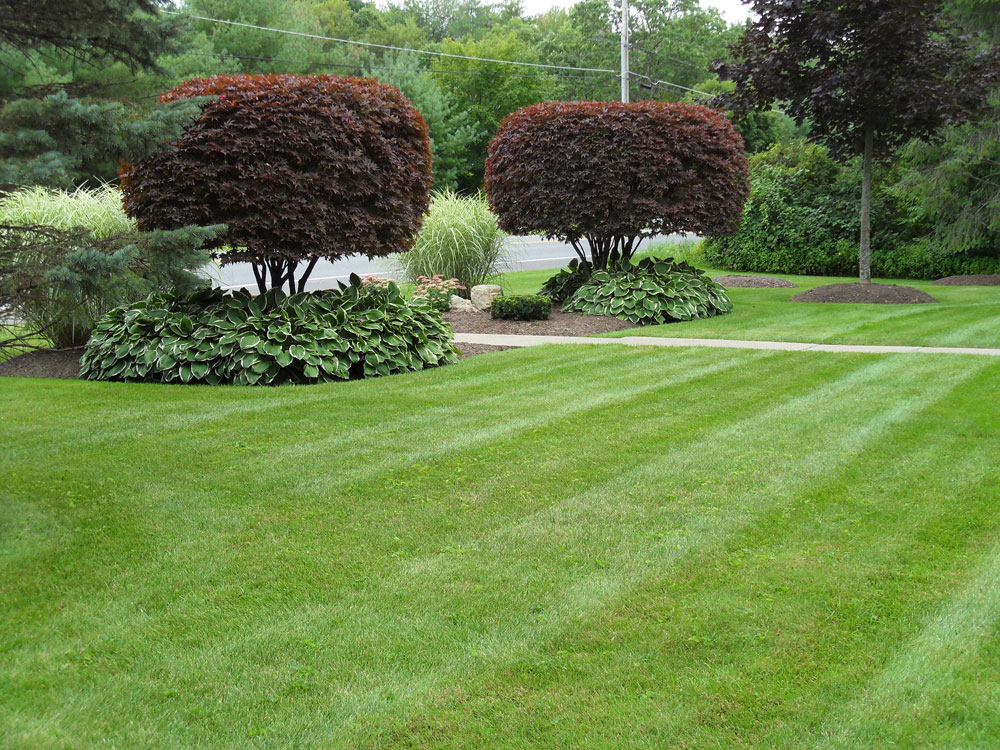 maintenance McDougall Landscape