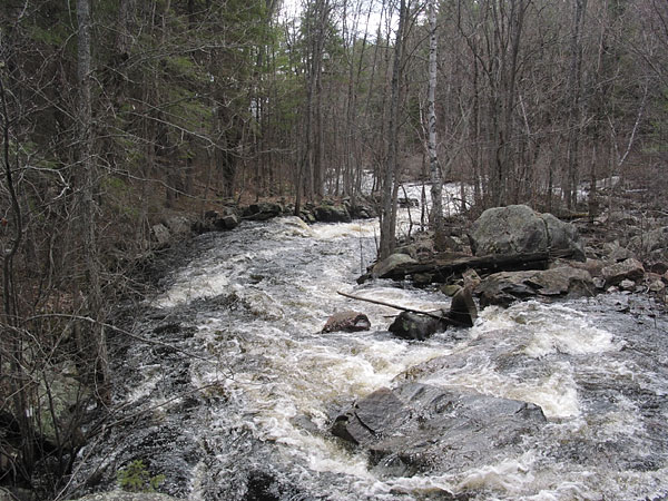 The Chalk River