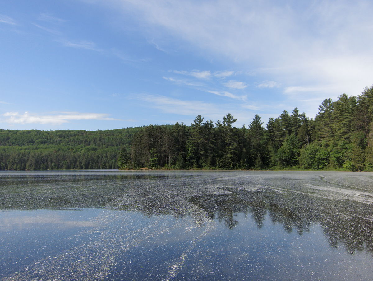 St Andrews Lake to St Francis Lake via Rouge Lake