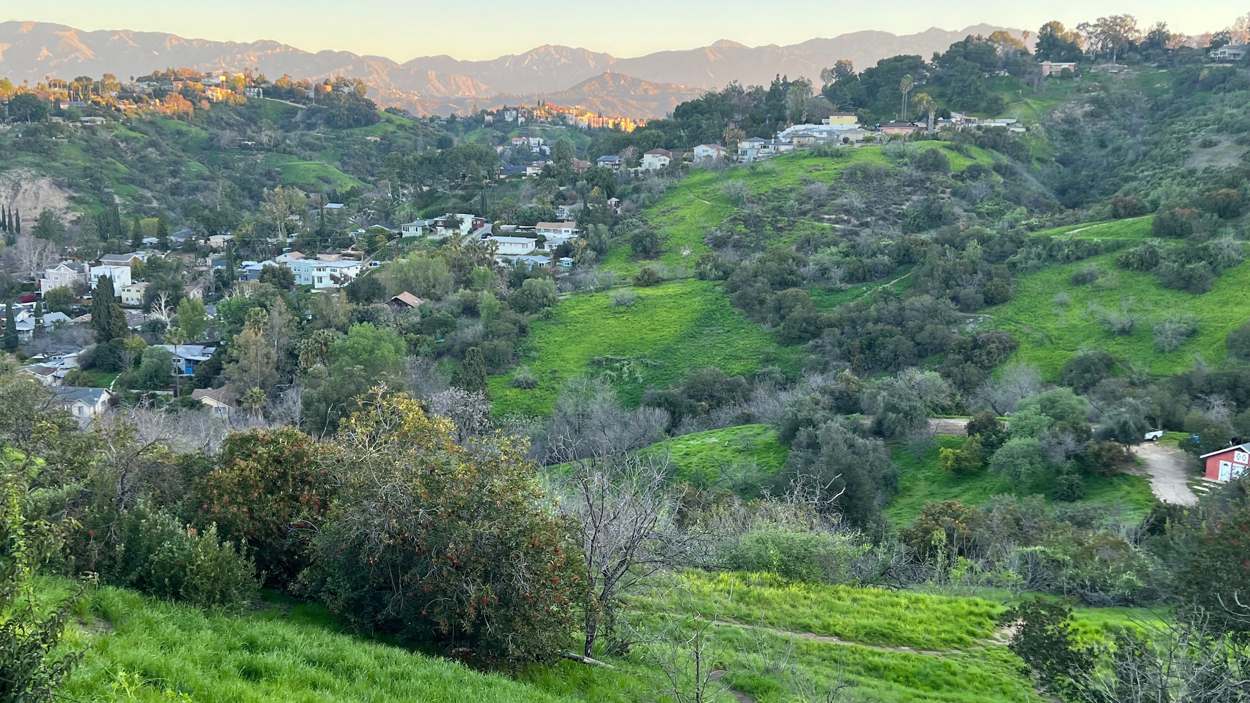 Mt. Washington & Los Angeles Biological Studies England Ecology