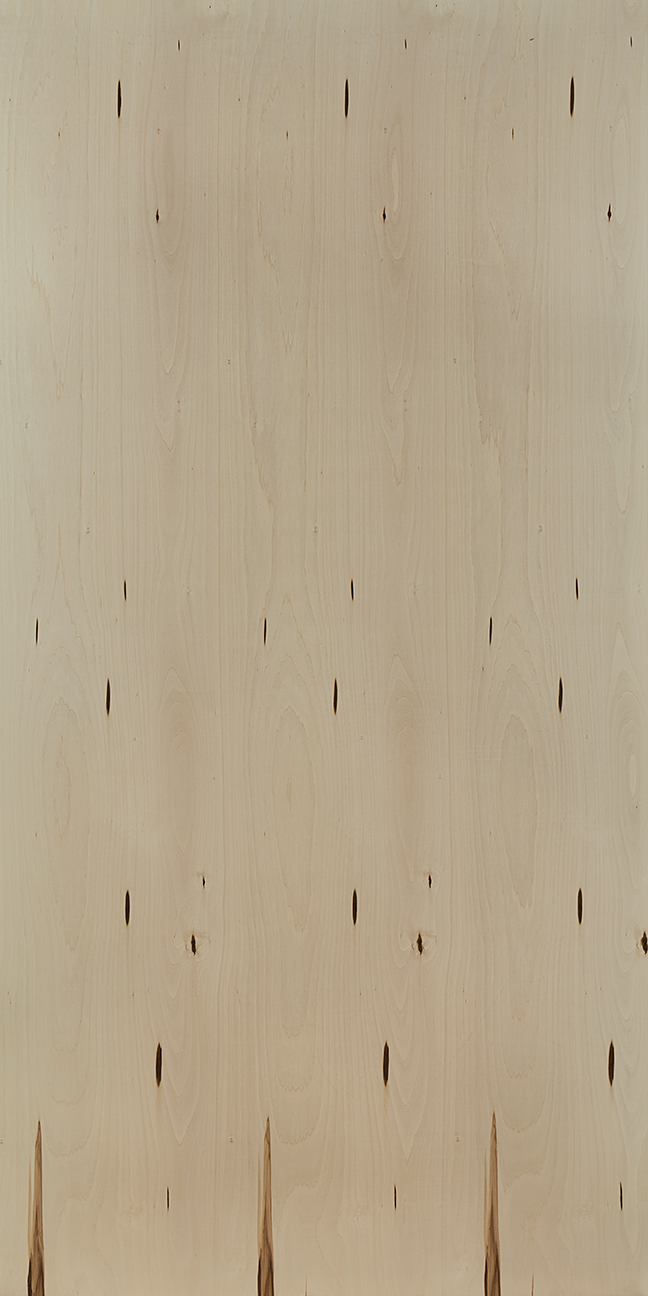 3/4" Basswood 481/2" x 961/2" Grade D/3 Veneer Core Veneered Panel