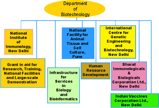 Bsc in biotechnology Bsc in biotechnology