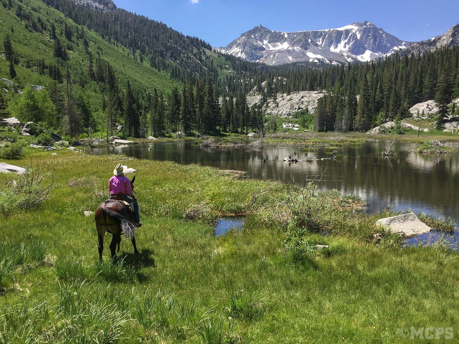 DAILY RIDES McGee Creek Pack Station