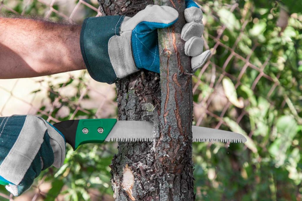 Superior Tree Trimming Service in Hawthorn Woods, IL