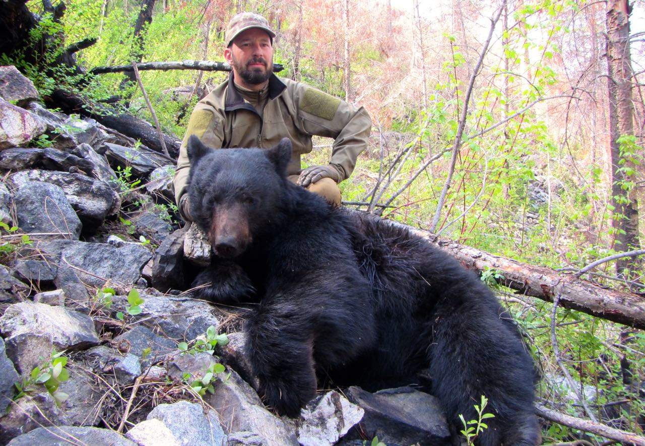 Bear Hunting McGowan Outfitting