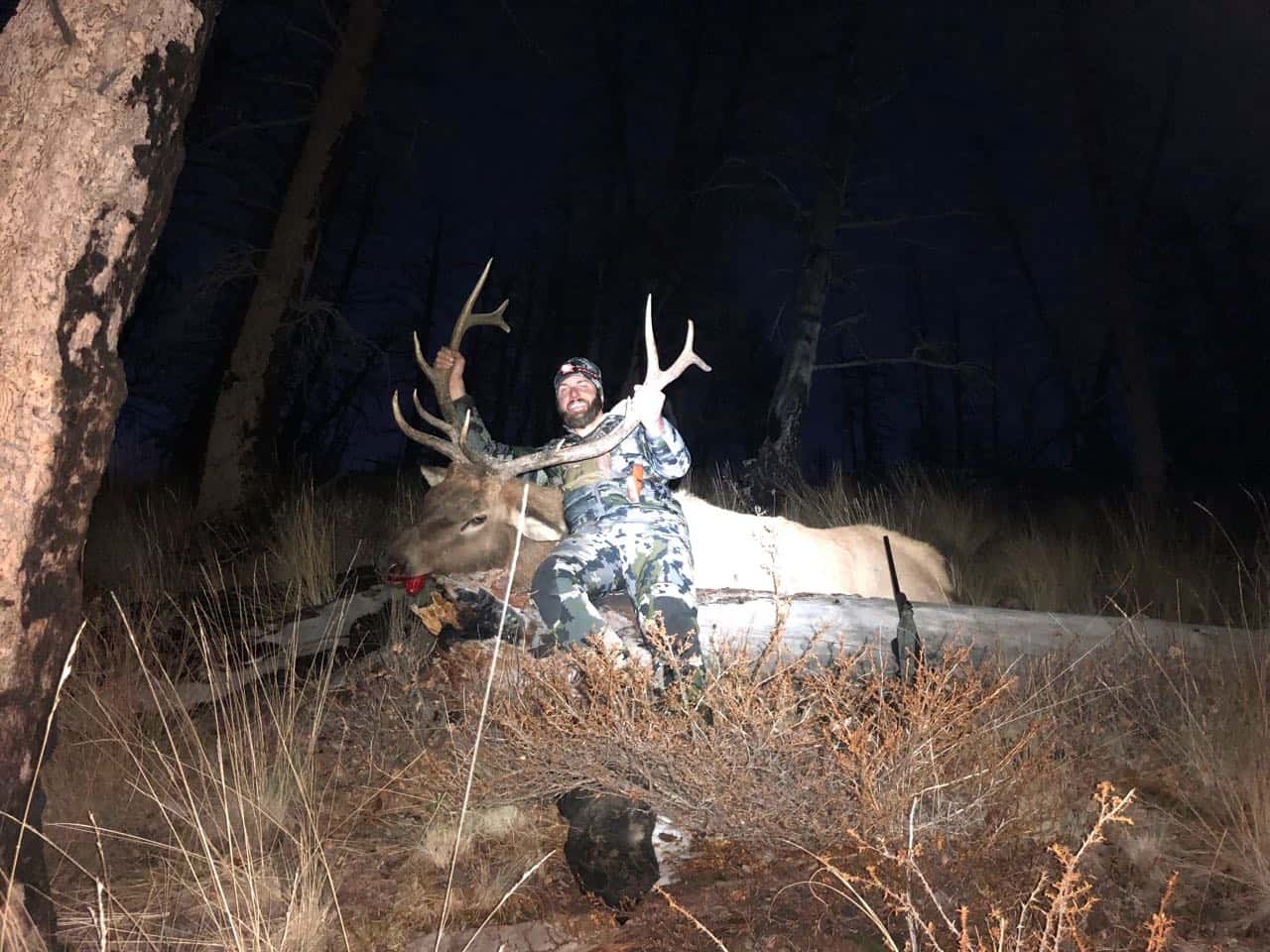 Elk Hunting McGowan Outfitting