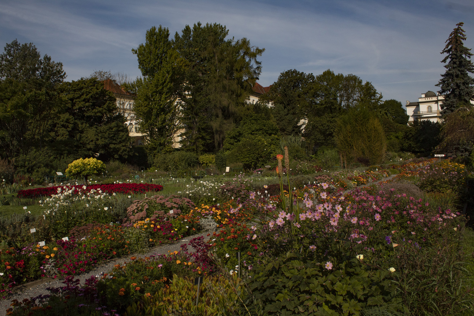 Botanic Garden in Cracow