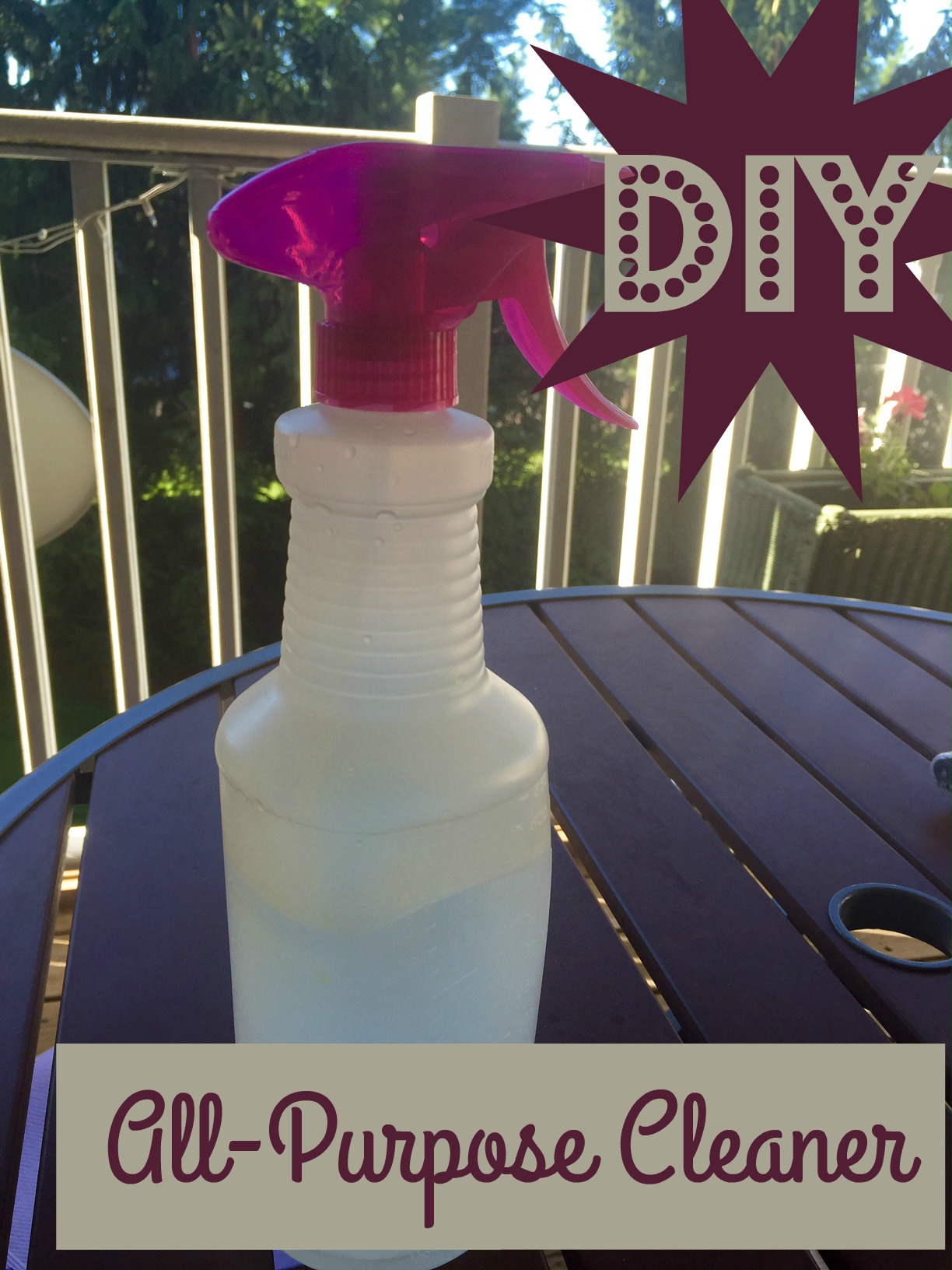 DIY AllPurpose Cleaner McKenzie Ellen