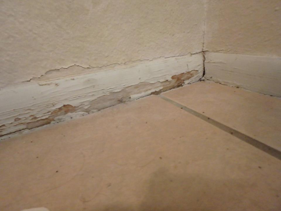 Shower Pan Failure Example McKinley Engineering