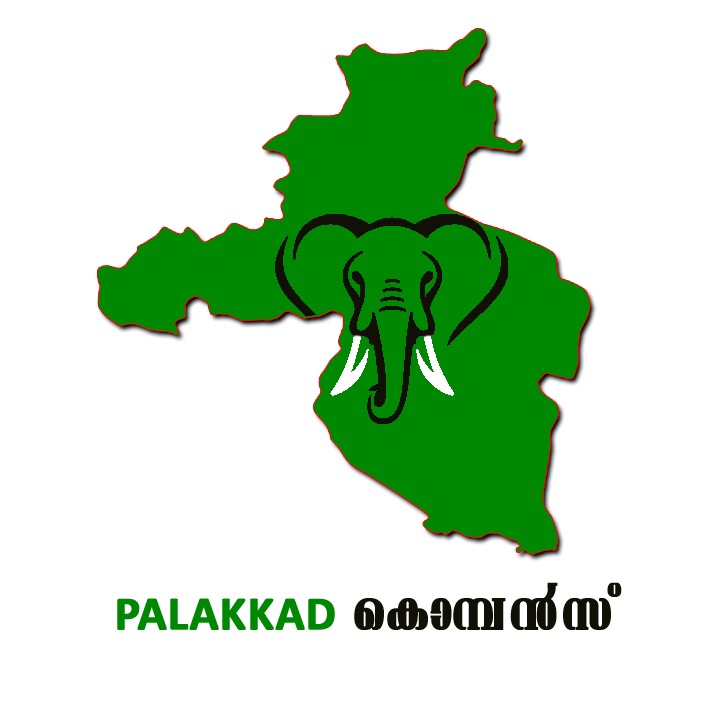 Teams Malayali Cricket League