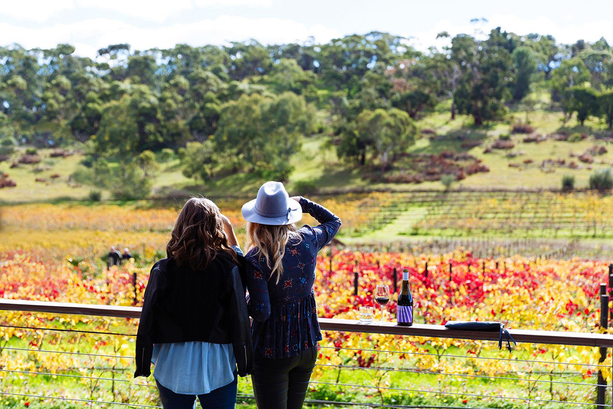 Official site of the McLaren Vale Wine Region McLaren Vale