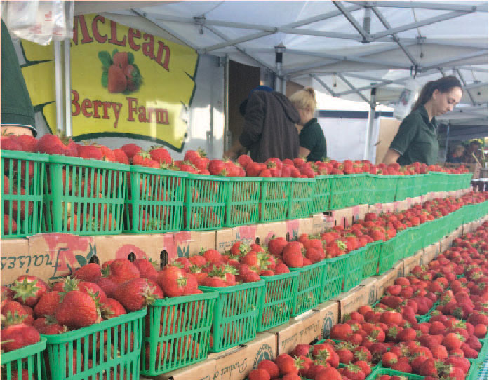 Farmers' Markets McLean and Buckhorn Berry Farms