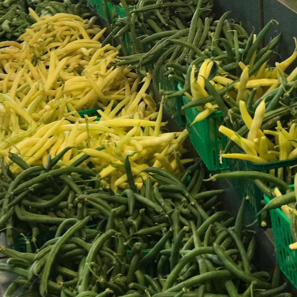 Green and Yellow Beans McLean and Buckhorn Berry Farms