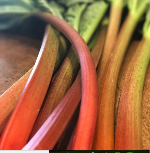 Rhubarb McLean and Buckhorn Berry Farms