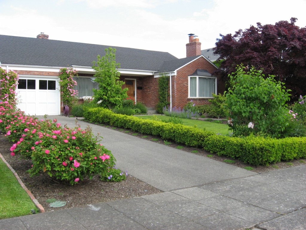 Michelle's Garden, June 2017