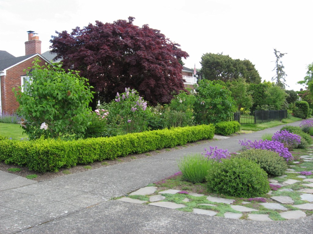 Michelle's Garden, June 2017