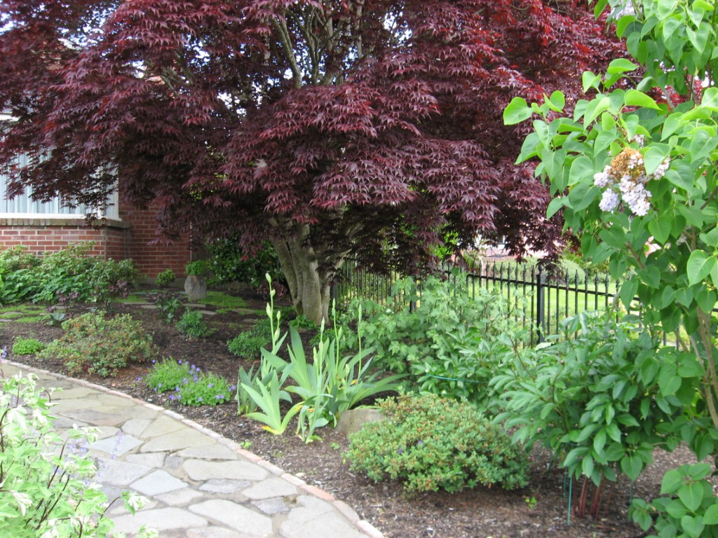 Michelle's Garden, June 2017