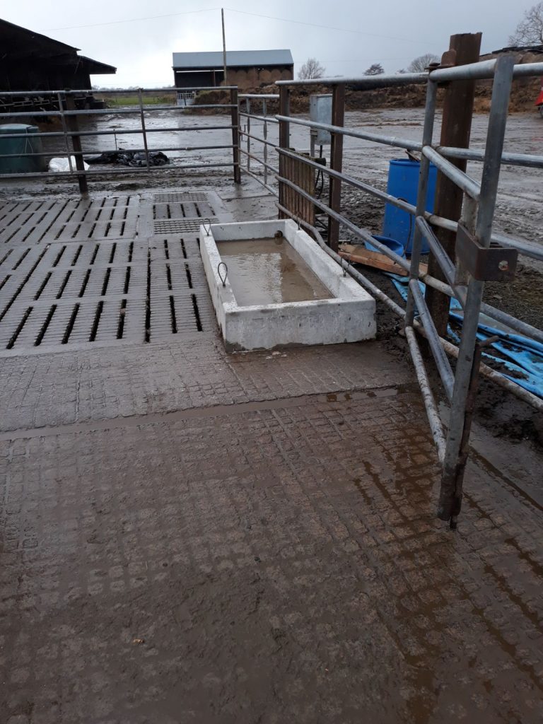 Cattle Footbath Precast Concrete Products in Ireland McMahons