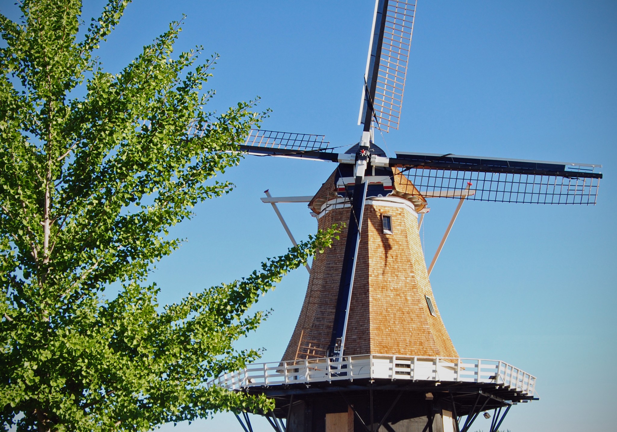 McMahon Little Chute Windmill