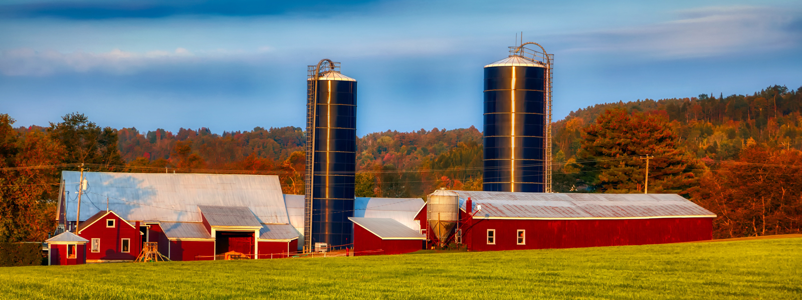 Home, Farm, & Others McMillan Warner Mutual Insurance