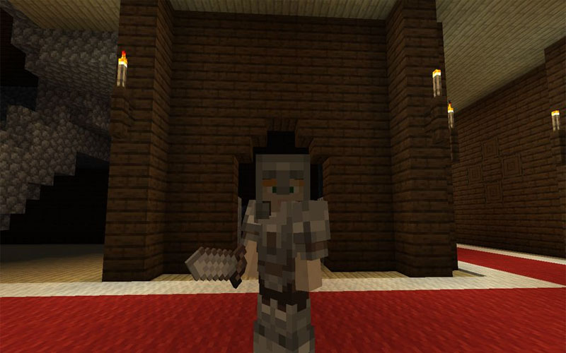 Omnis Mod 1.16.5 Minecraft PC