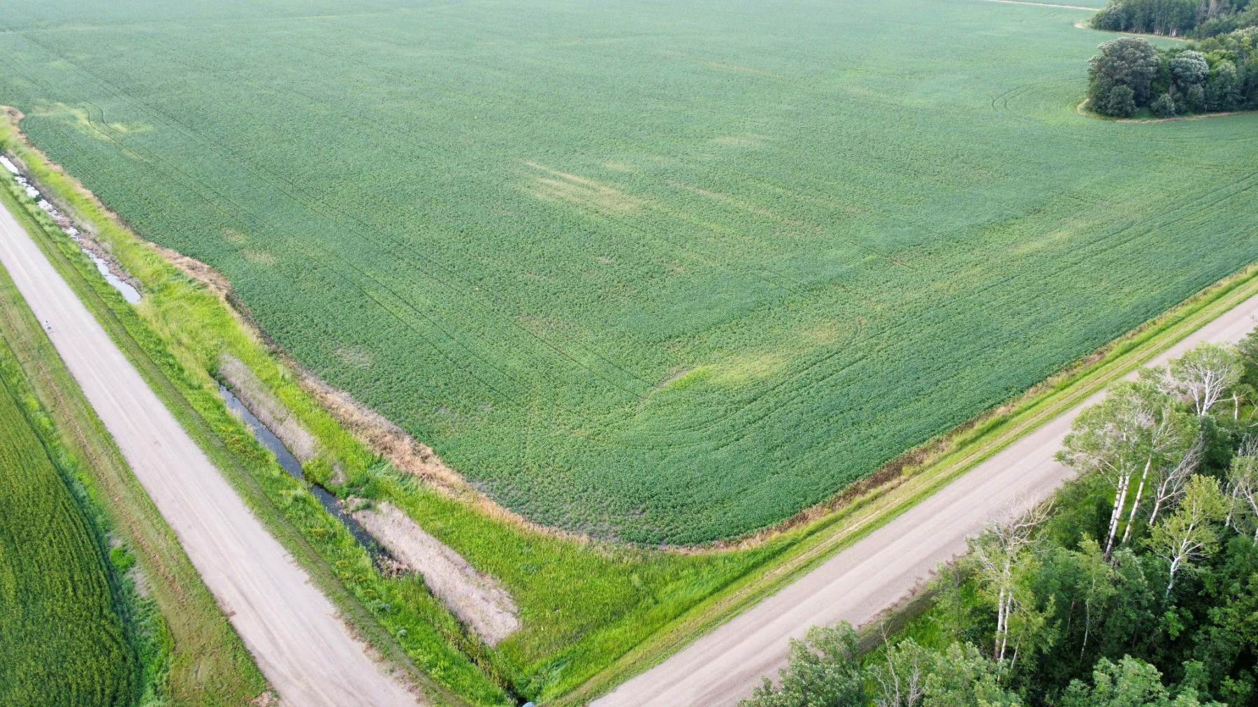 Online Only Land Auction, 153 Acres, Red Lake County MN, Bidding Starts