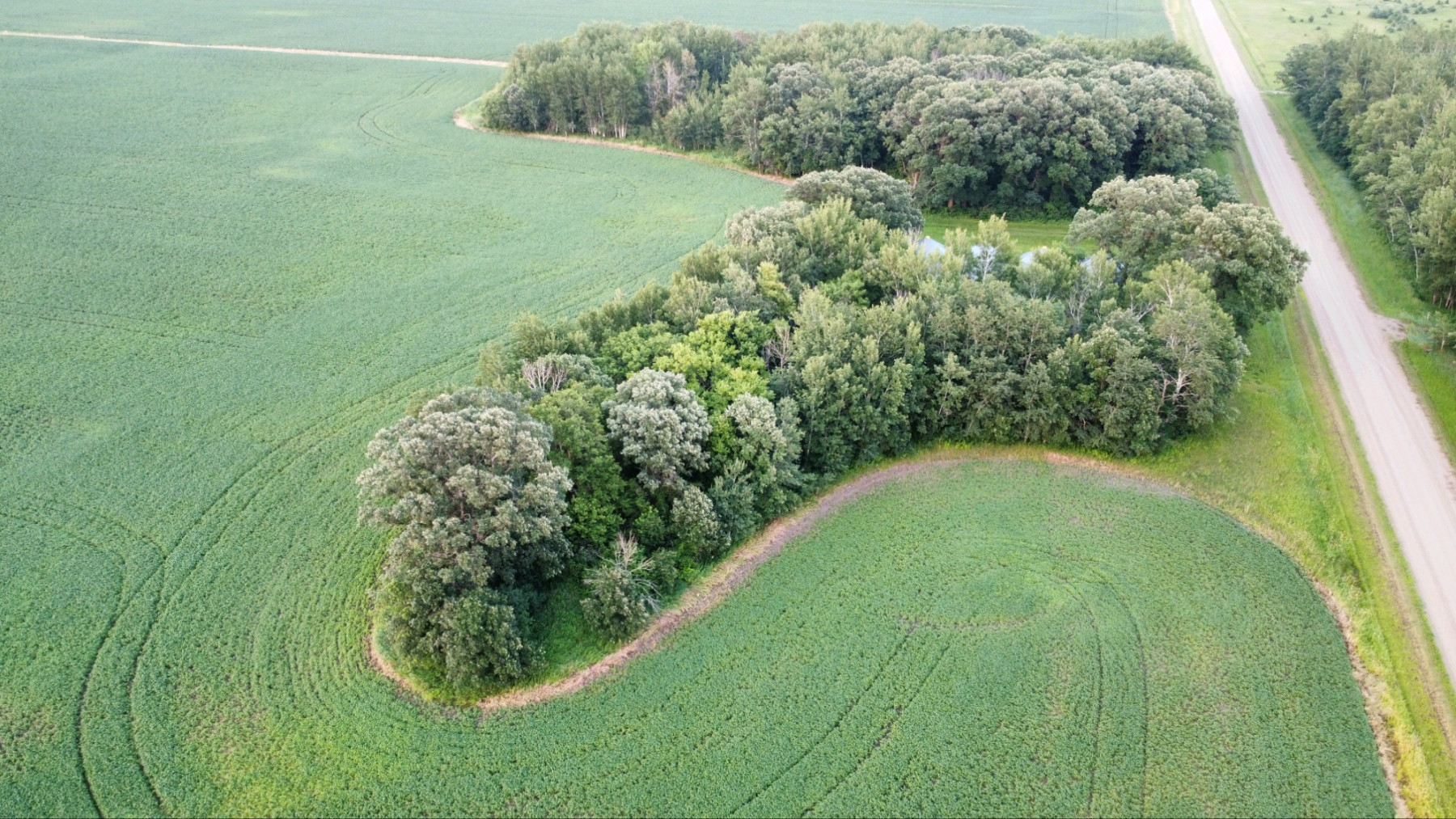 Auctions McMullen Auctioneers