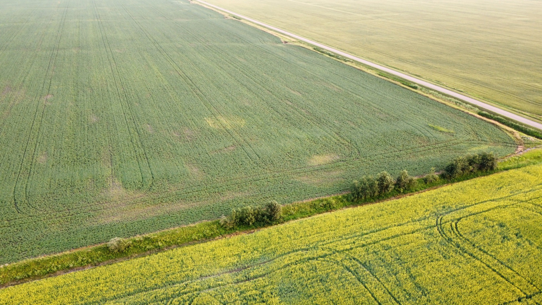 Online Only Land Auction, 153 Acres, Red Lake County MN, Bidding Starts