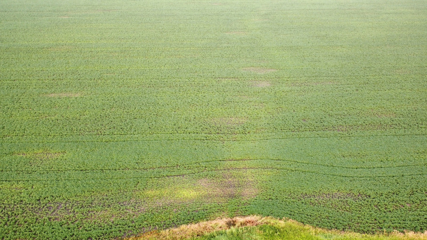 Online Only Land Auction, 153 Acres, Red Lake County MN, Bidding Starts